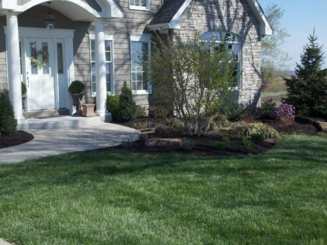 Front Yard Landscape